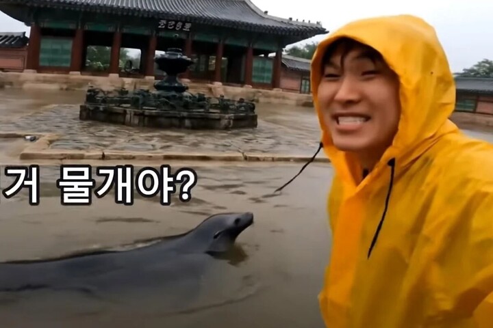 Video AI giả cảnh lũ lụt tại cung điện gây lo ngại về deepfake ở Hàn Quốc- Ảnh 1. Video AI giả cảnh lũ lụt tại cung điện gây lo ngại về deepfake ở Hàn Quốc- Ảnh 1.