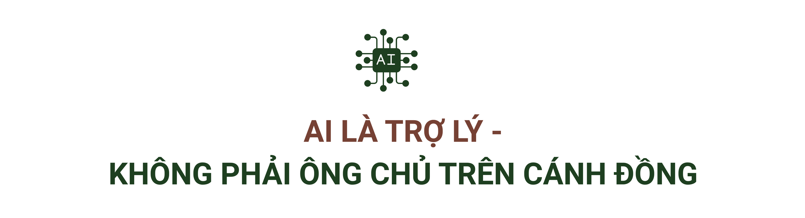 AI 'về làng'- chưa bao giờ việc bón phân, tưới nước ở thị trấn nhỏ này đơn giản như thế: Thời gian rút ngắn còn 1/10, tăng giá trị lại không thay thế con người- Ảnh 6. AI 'về làng'- chưa bao giờ việc bón phân, tưới nước ở thị trấn nhỏ này đơn giản như thế: Thời gian rút ngắn còn 1/10, tăng giá trị lại không thay thế con người- Ảnh 6.