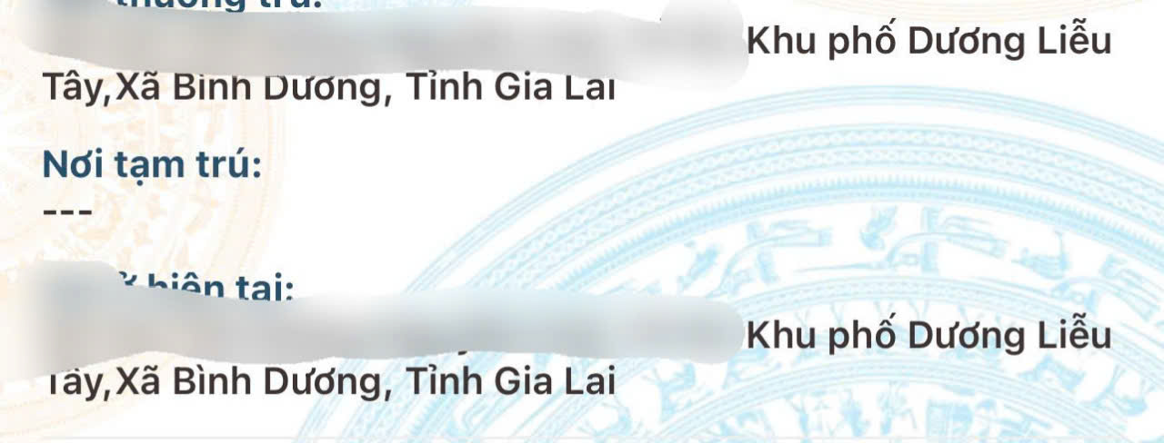 z6756864063273194c79e61dfb246a4e94ab9e36b128c0-17512712198931508694041 Địa chỉ của người dân trên VNeID chính thức được thay đổi - Ảnh 1.