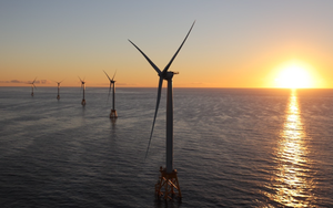 Bông hoa súng đa sắc màu từ turbine điện gió “đã nghỉ hưu” - Ảnh 4.