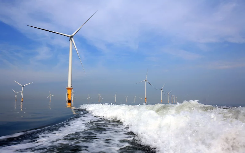 Bước đi quan trọng để điện gió ngoài khơi không bị “thổi bay” - Ảnh 2.