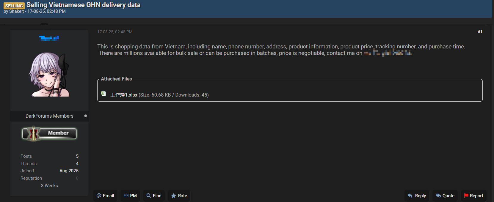 Dữ liệu của hai doanh nghiệp Việt bất ngờ bị hacker rao bán trên web đen - Ảnh 1.