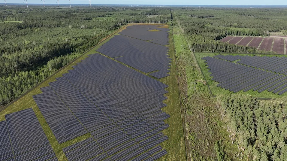 Nhà máy với 174.000 tấm pin năng lượng mặt trời đi vào hoạt động ở quốc gia Bắc Âu- Ảnh 1.