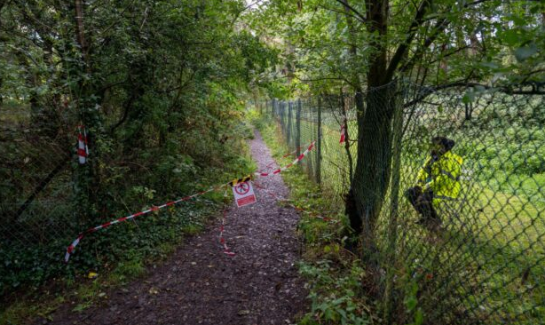 Sự cố khiến cả 3 cánh turbine điện gió cùng “rụng” - Ảnh 4.