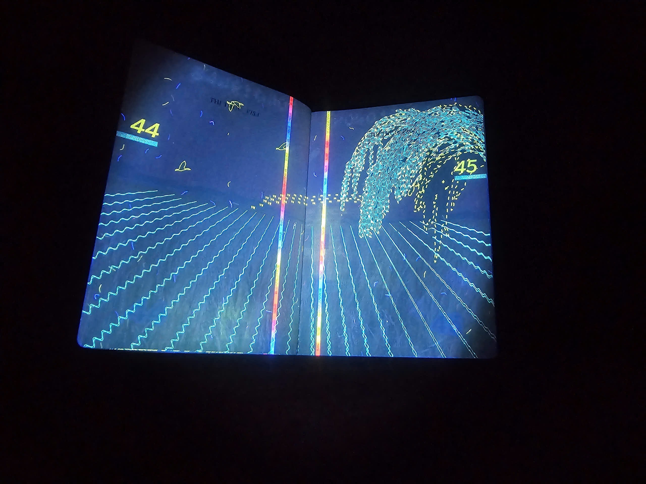 Hé lộ nhiều hình ảnh 'bất ngờ' trên hộ chiếu Việt Nam khi soi tia UV - Ảnh 22.