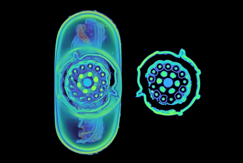 Đây là sự khác biệt giữa cáp USB-C giá rẻ và cáp USB-C giá 129 USD của Apple- Ảnh 6.