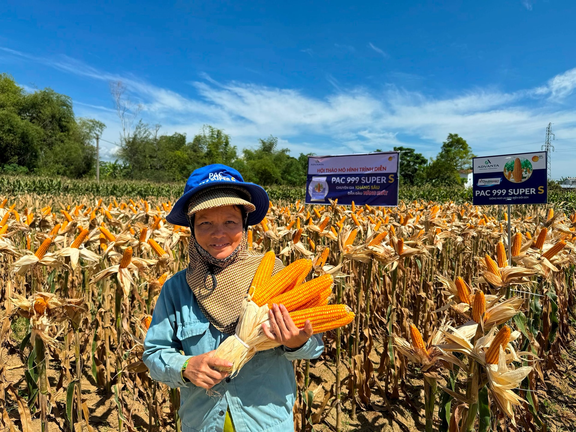 Chỉnh sửa gen: “Mũi nhọn” công nghệ chờ hoàn thiện hành lang pháp lý- Ảnh 3.