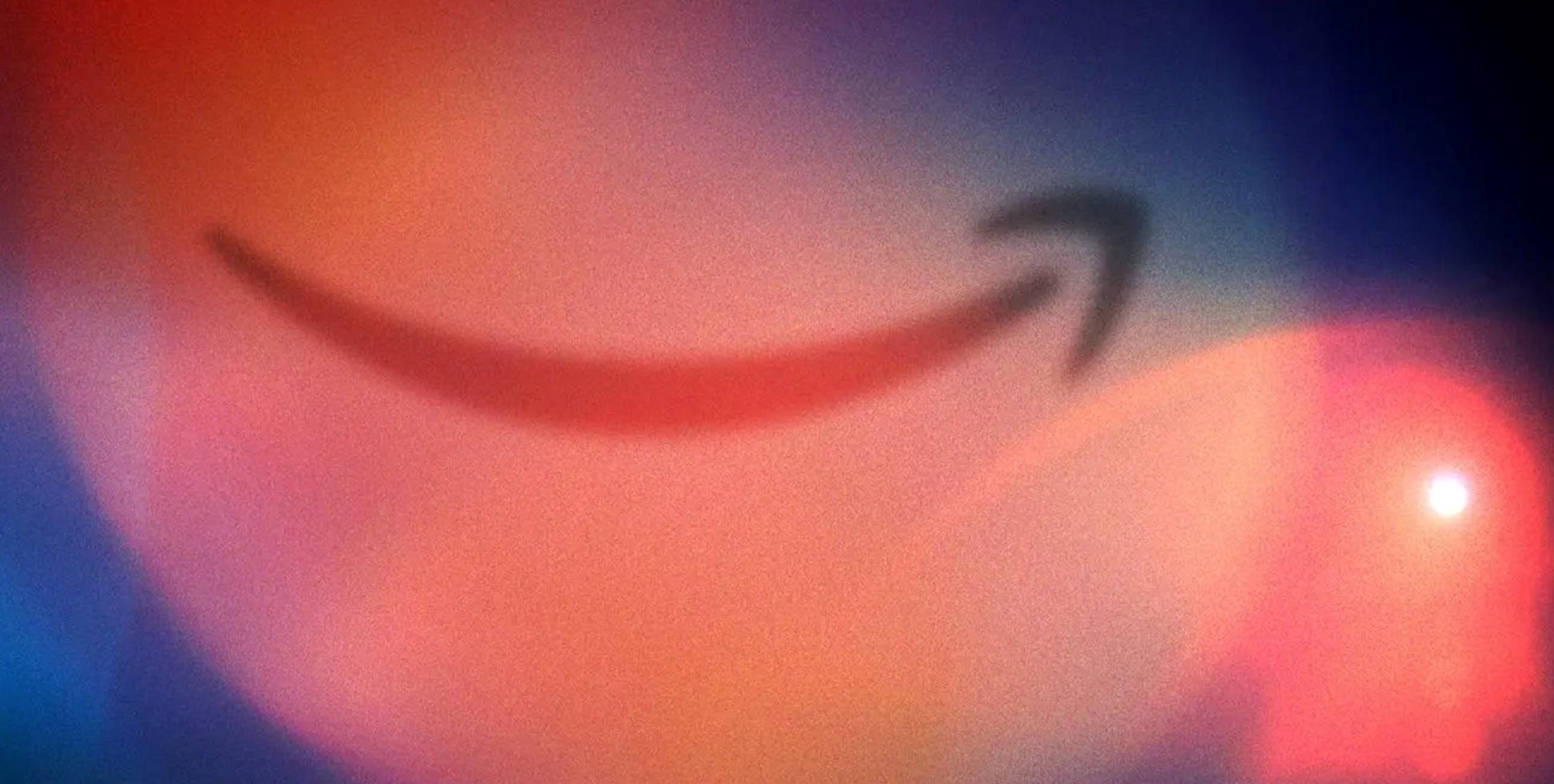 Cách Amazon bí ẩn đứng sau hệ thống giám sát AI của cảnh sát- Ảnh 1.