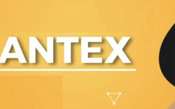 Lùm xùm dự án tiền số AntEx của Shark Bình: Ai là nạn nhân thực sự? - Ảnh 3.