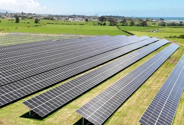 trang-trai-dien-mat-troi-quy-mo-lon-tai-san-bay-new-plymouth-new-zealand-new-energy-nz-1759391360009669173880 Sân bay “tự cung tự cấp” với 14,7 triệu kWh điện mặt trời - Ảnh 1.