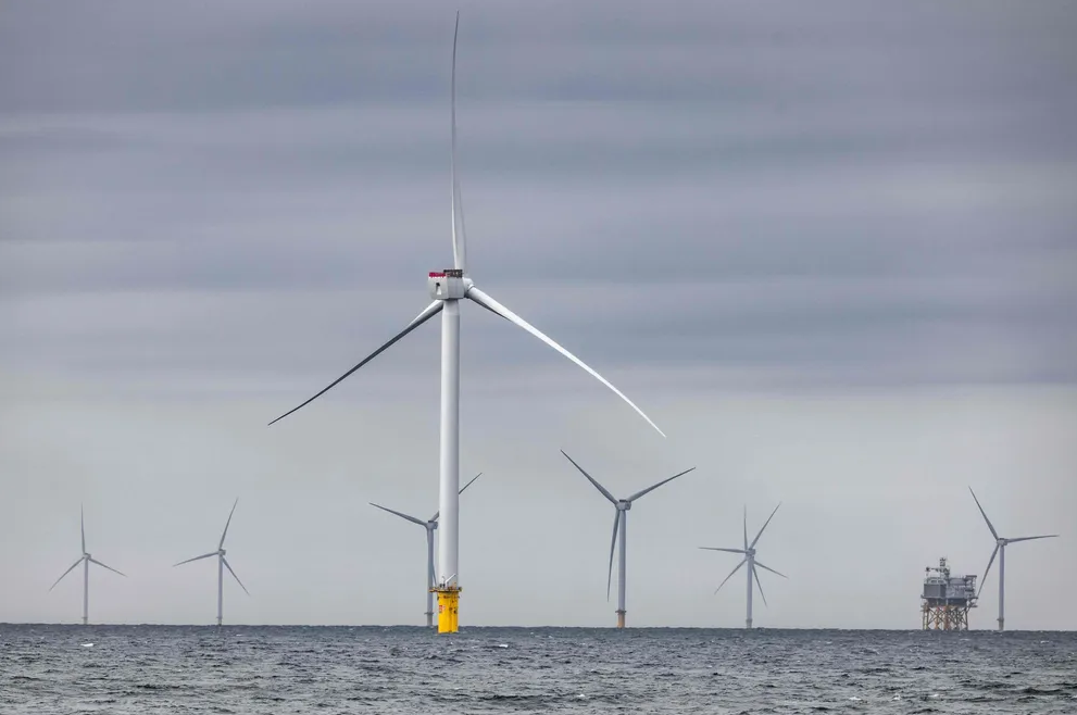 Tình huống “suýt thảm họa” tại trang trại điện gió 1,5 GW - Ảnh 1.