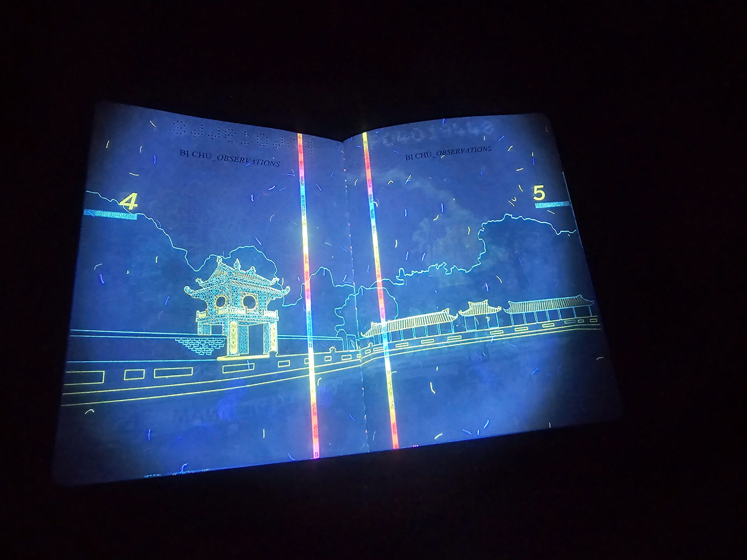 Hé lộ nhiều hình ảnh 'bất ngờ' trên hộ chiếu Việt Nam khi soi tia UV - Ảnh 2.