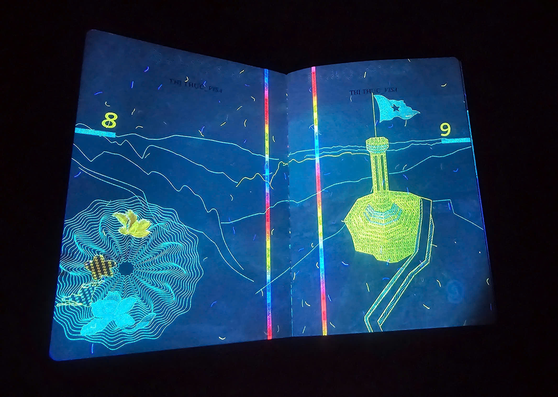 Hé lộ nhiều hình ảnh 'bất ngờ' trên hộ chiếu Việt Nam khi soi tia UV - Ảnh 4.