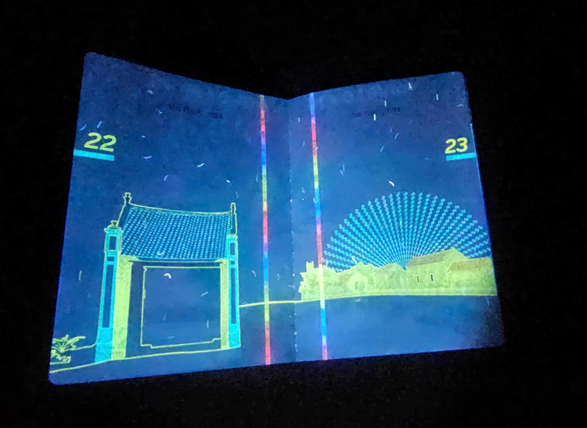 Hé lộ nhiều hình ảnh 'bất ngờ' trên hộ chiếu Việt Nam khi soi tia UV - Ảnh 11.