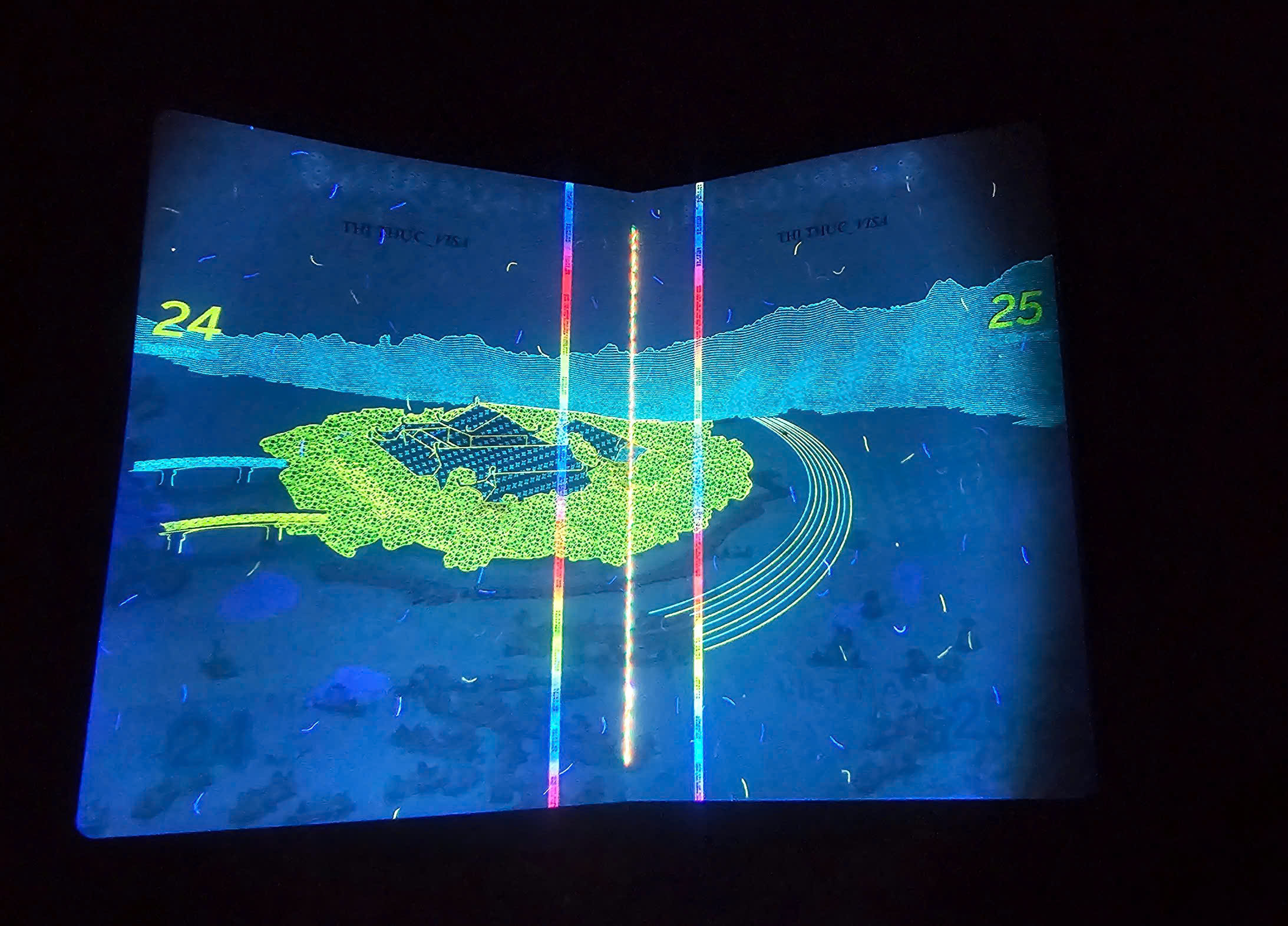 Hé lộ nhiều hình ảnh 'bất ngờ' trên hộ chiếu Việt Nam khi soi tia UV - Ảnh 12.