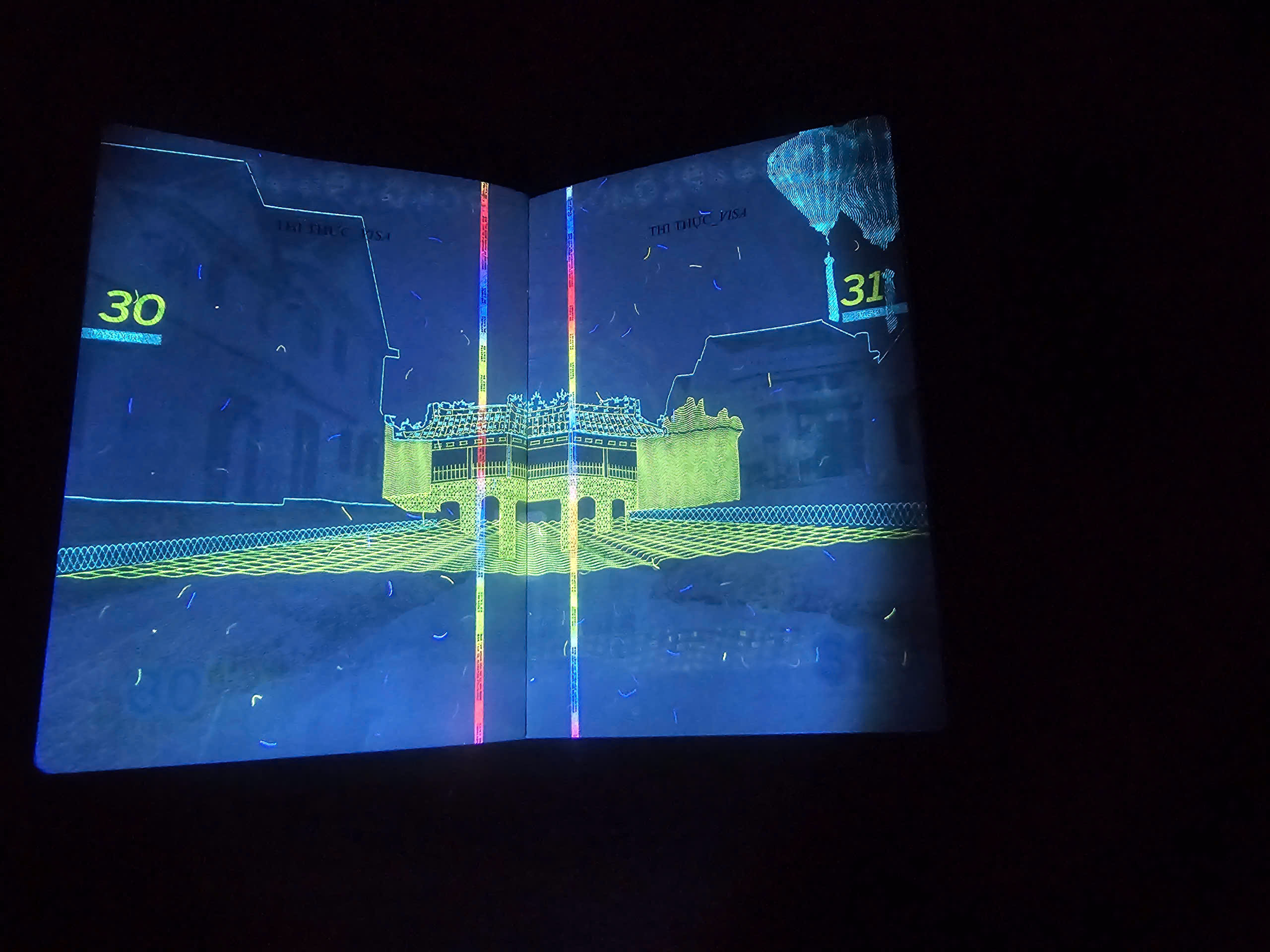 Hé lộ nhiều hình ảnh 'bất ngờ' trên hộ chiếu Việt Nam khi soi tia UV - Ảnh 15.