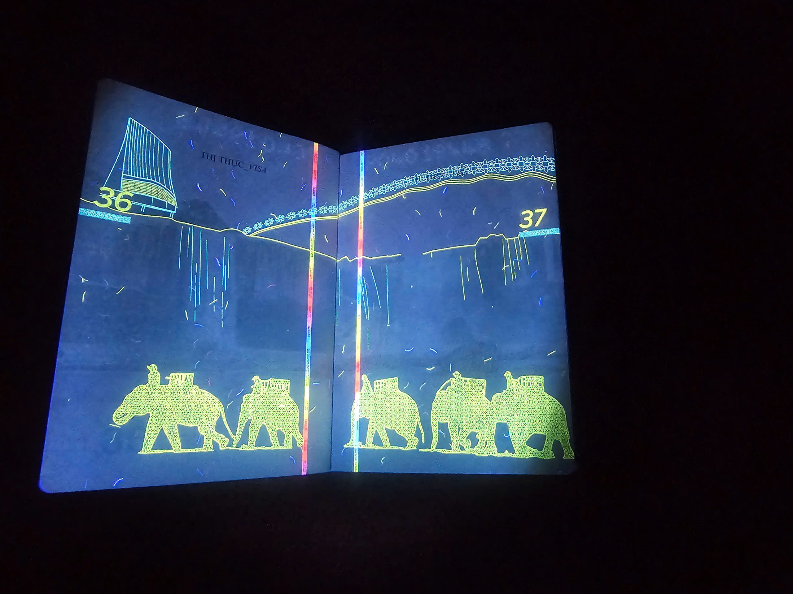 Hé lộ nhiều hình ảnh 'bất ngờ' trên hộ chiếu Việt Nam khi soi tia UV - Ảnh 18.