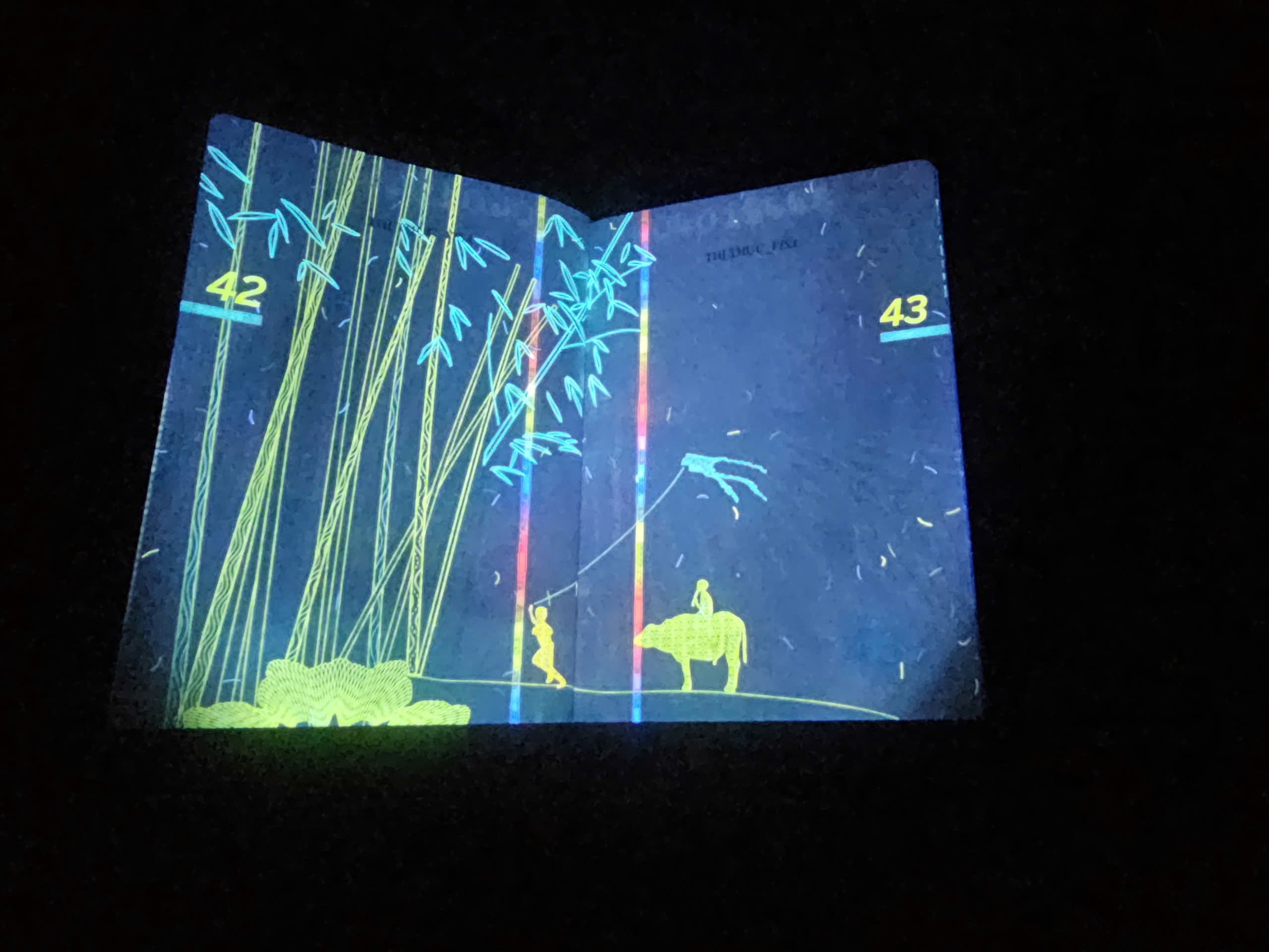 Hé lộ nhiều hình ảnh 'bất ngờ' trên hộ chiếu Việt Nam khi soi tia UV - Ảnh 21.