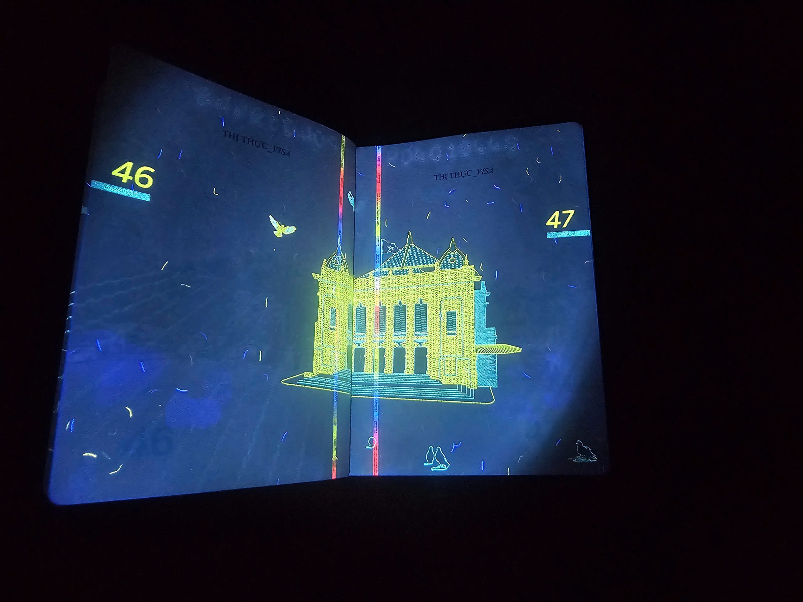 Hé lộ nhiều hình ảnh 'bất ngờ' trên hộ chiếu Việt Nam khi soi tia UV - Ảnh 23.