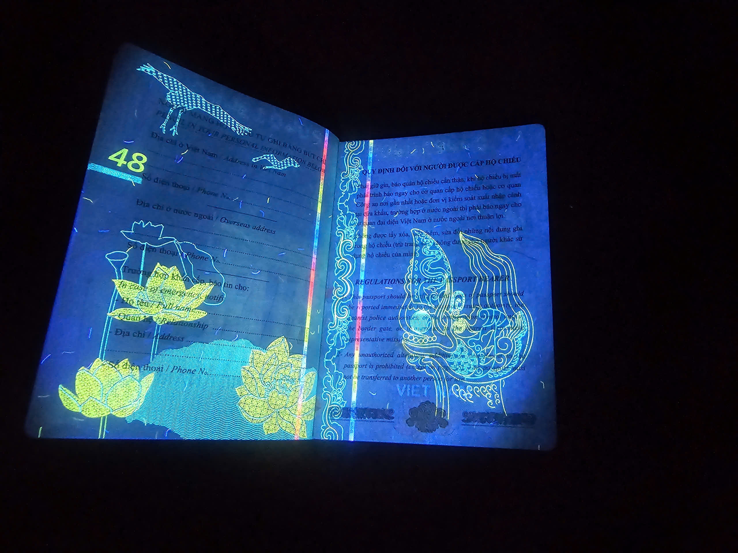 Hé lộ nhiều hình ảnh 'bất ngờ' trên hộ chiếu Việt Nam khi soi tia UV - Ảnh 24.