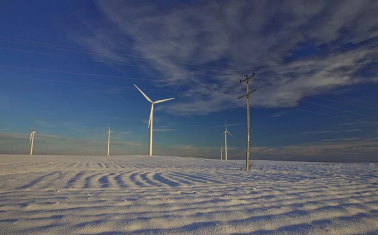 anh-minh-hoa-1762418856836654840141 Nguyên nhân dự án trang trại điện gió 800MW bị từ chối - Ảnh 1.