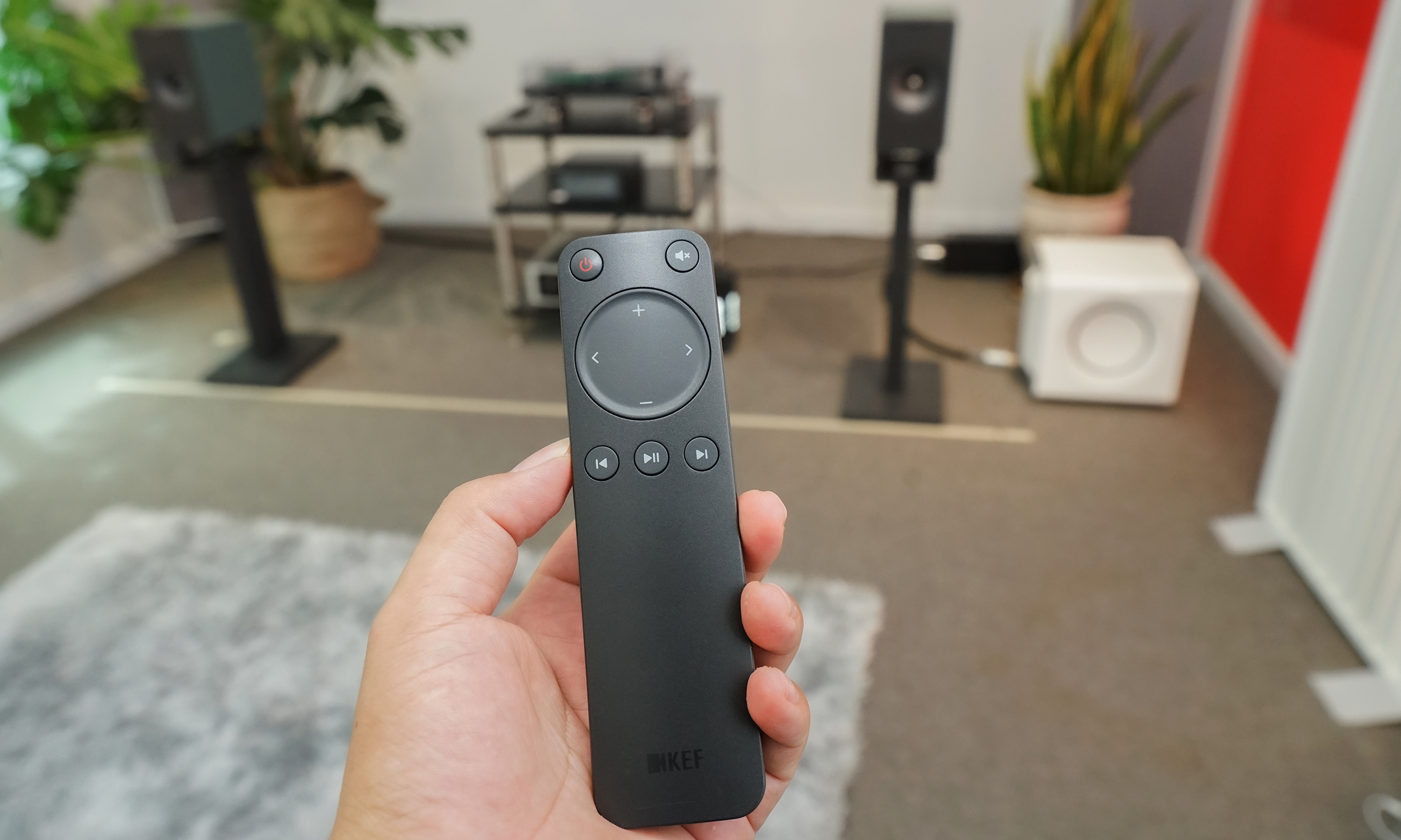 dsc00260-jpg-1763833266-1763833379