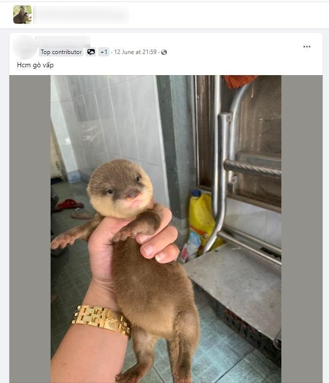 image-copy-1763235227087-17632352273491312187063