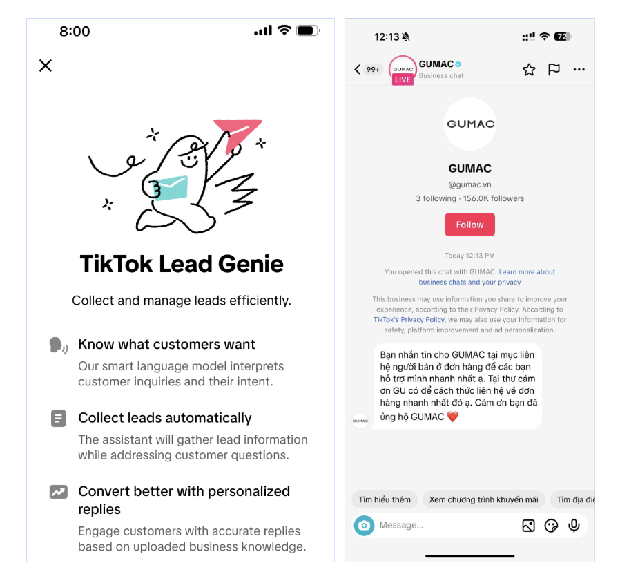 tiktok-chatbot
