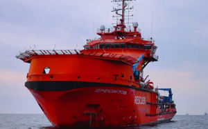 Lý do Indonesia chặn chatbot Grok của Elon Musk? - Ảnh 5.