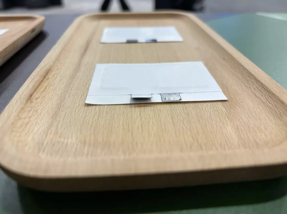 Những cục pin gốc thực vật này sẽ sớm thay thế sản phẩm "pin con thỏ" quen thuộc- Ảnh 3. Những cục pin gốc thực vật này sẽ sớm thay thế sản phẩm "pin con thỏ" quen thuộc- Ảnh 3.