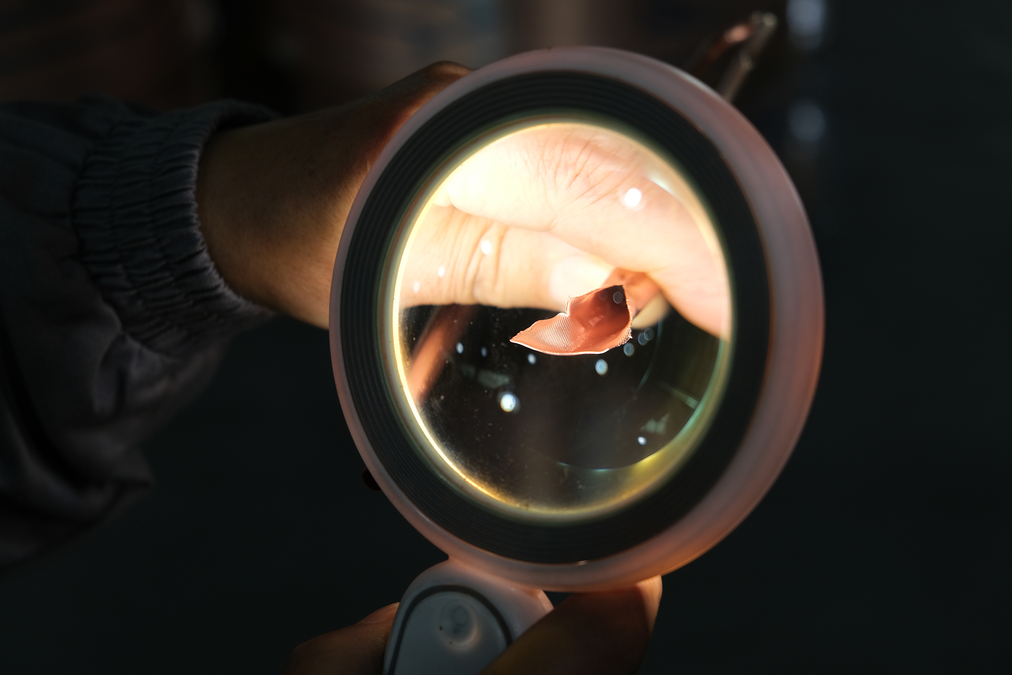 dscf5256-1771920678-1771921365