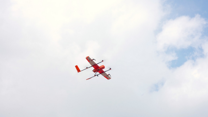 my-trung-15242643-1771306637958-17713066381361818799697