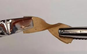 Mô hình AI dự báo 1,1 tỷ người đối mặt nạn đói do biến đổi khí hậu vào năm 2100 - Ảnh 3.