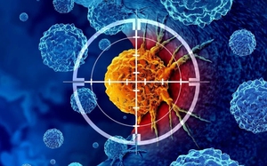 Rakuten Viber và Happydemics tối ưu hiểu biết người dùng - Ảnh 2.