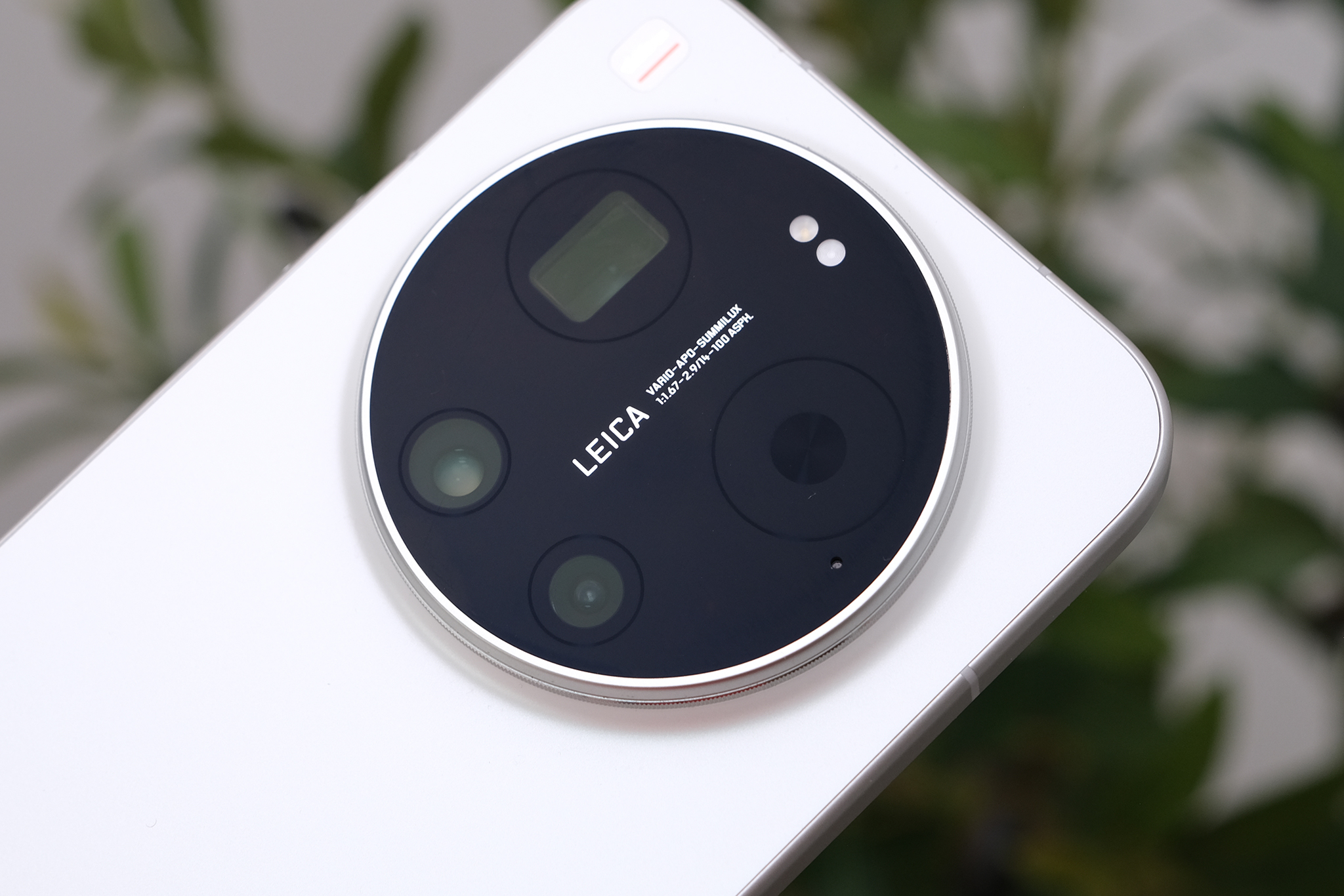 dscf6823-1772348246-1772348512