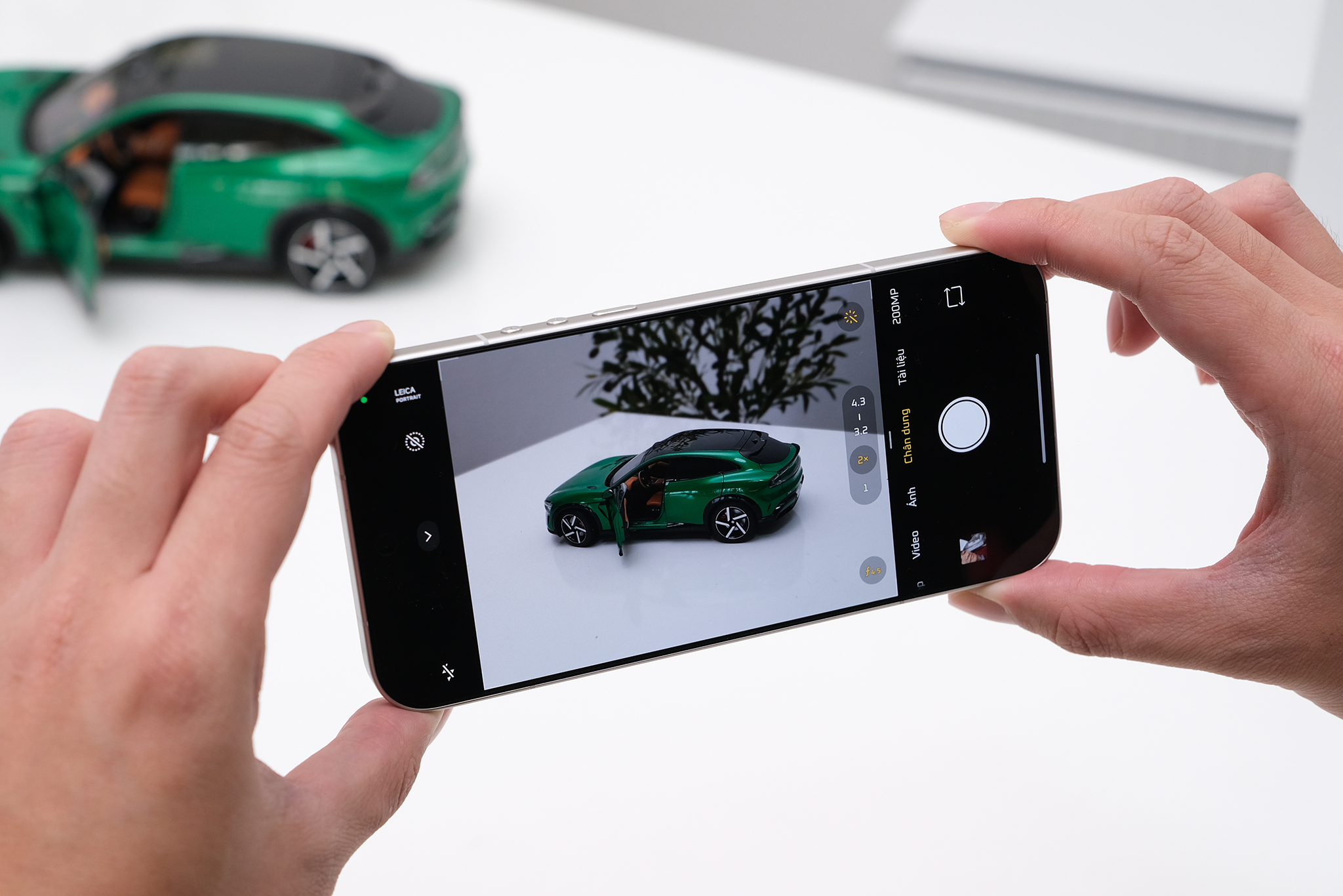 dscf6827-1772348246-1772348512