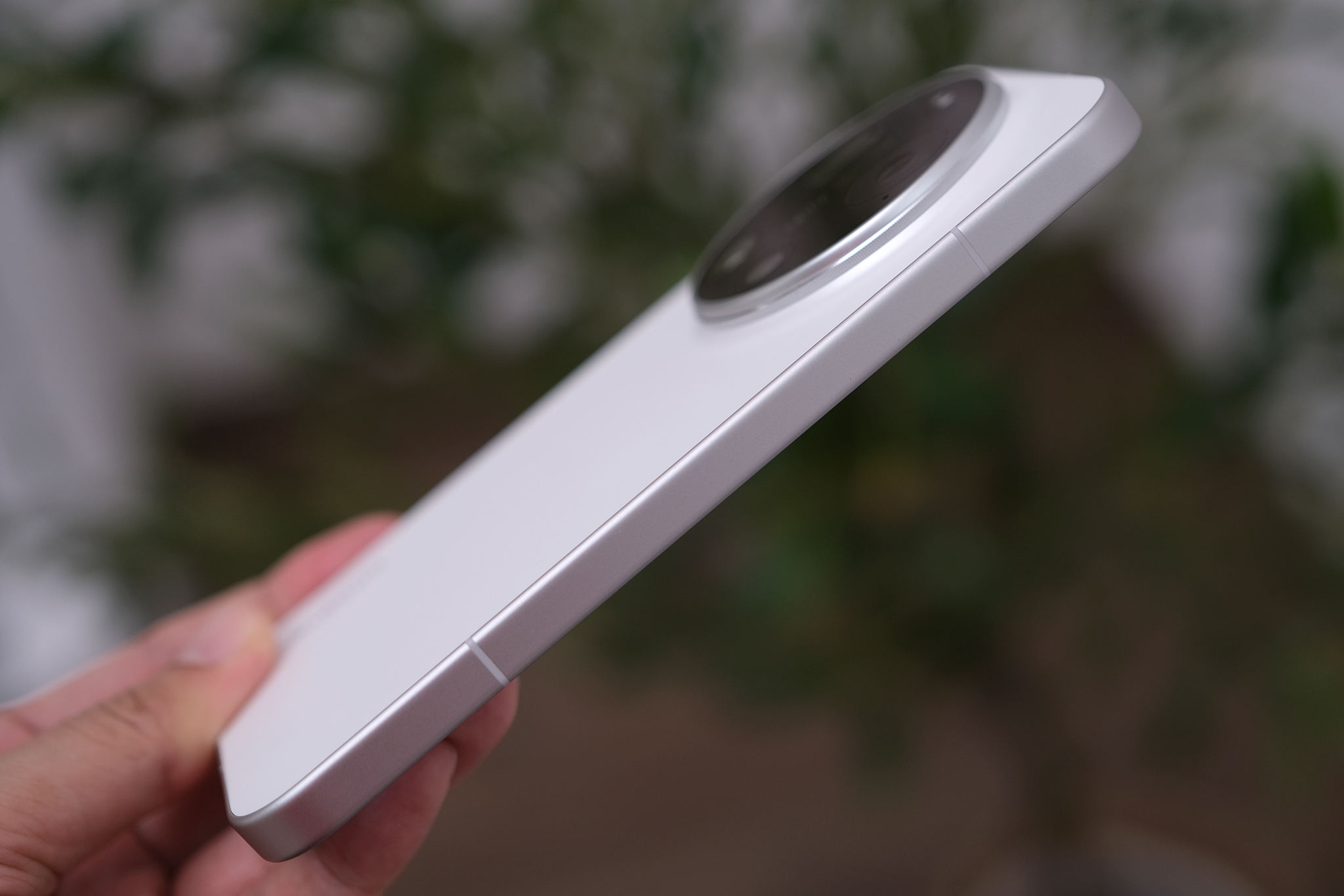 dscf6846-1772348288-1772348513