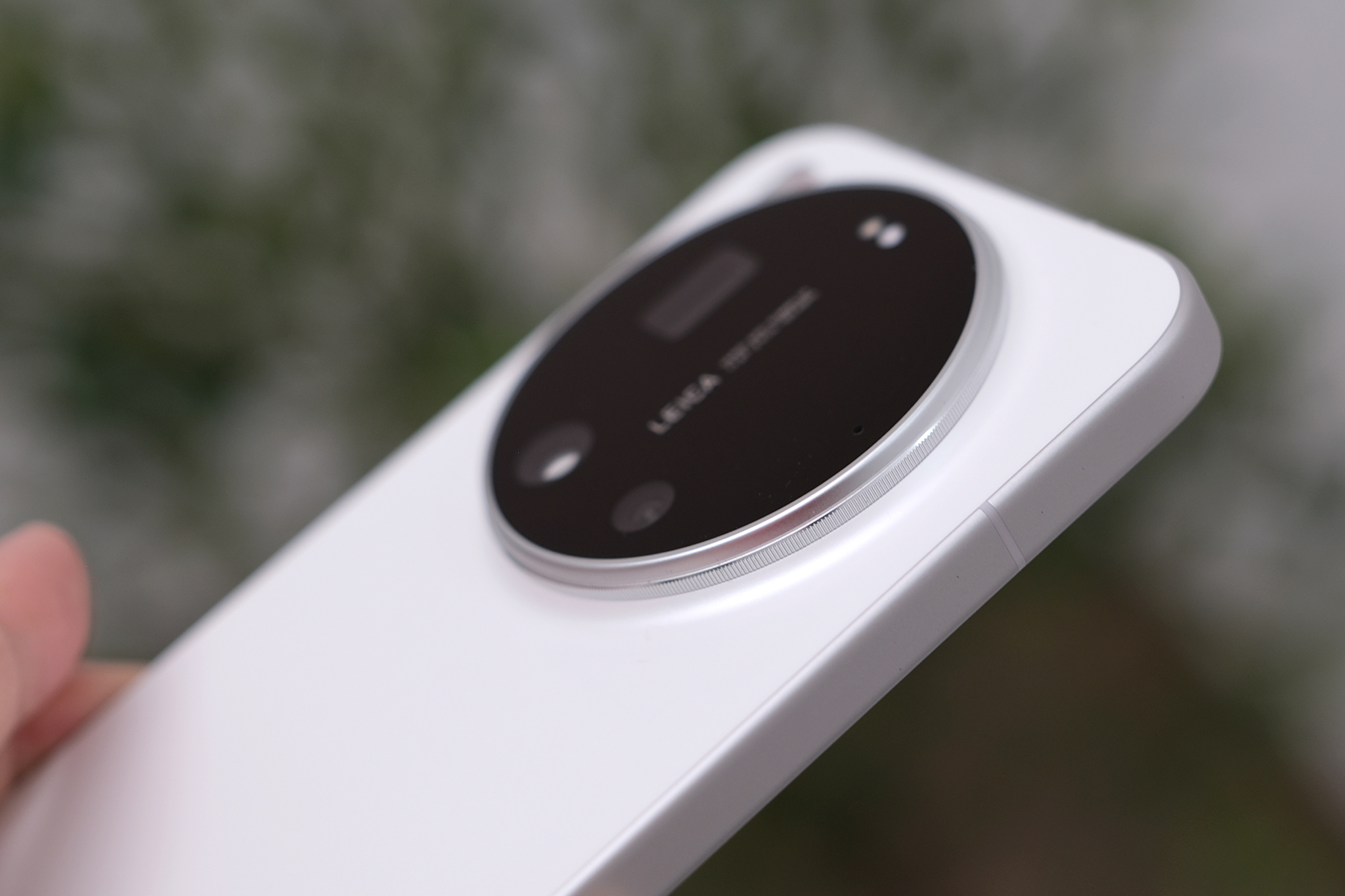 dscf6856-1772348246-1772348512