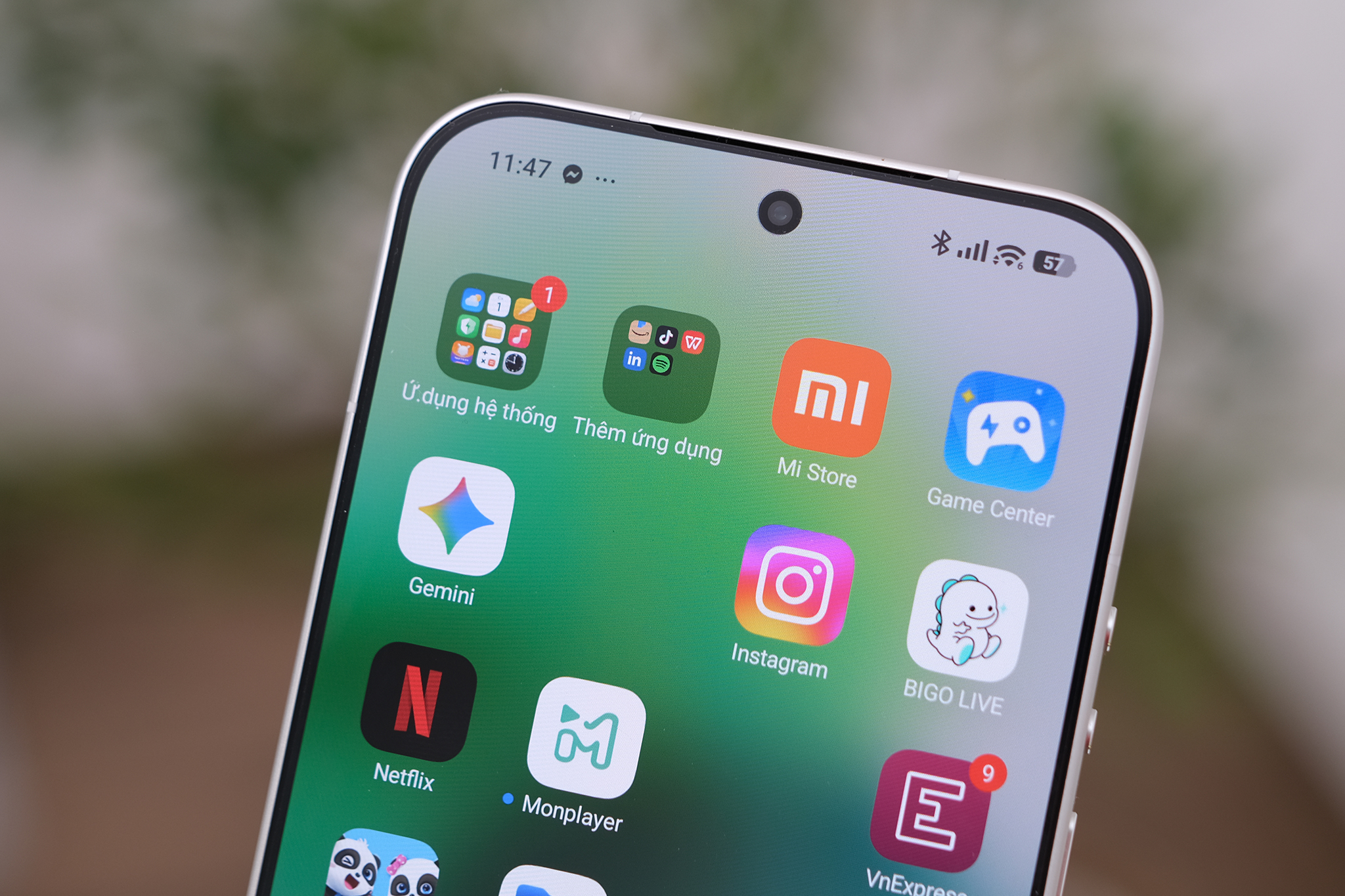 dscf6879-1772348340-1772348514