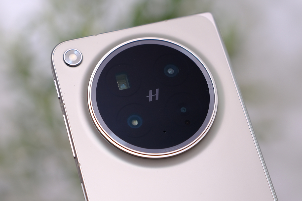 dscf7174-1773990422-1773990890